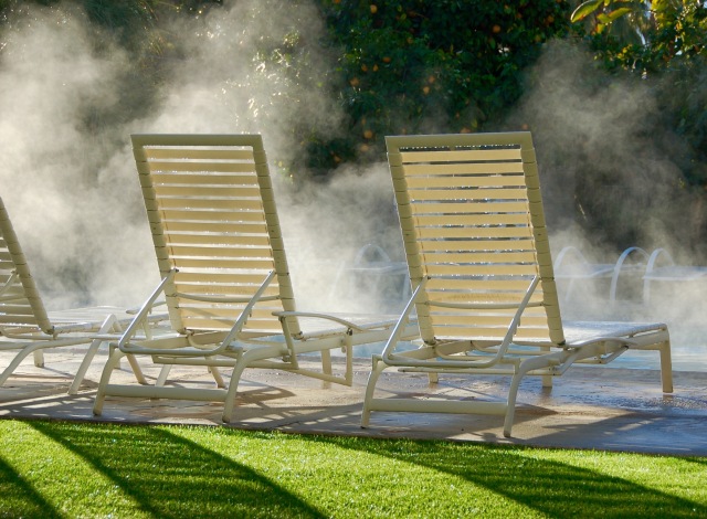 Poolside chairs